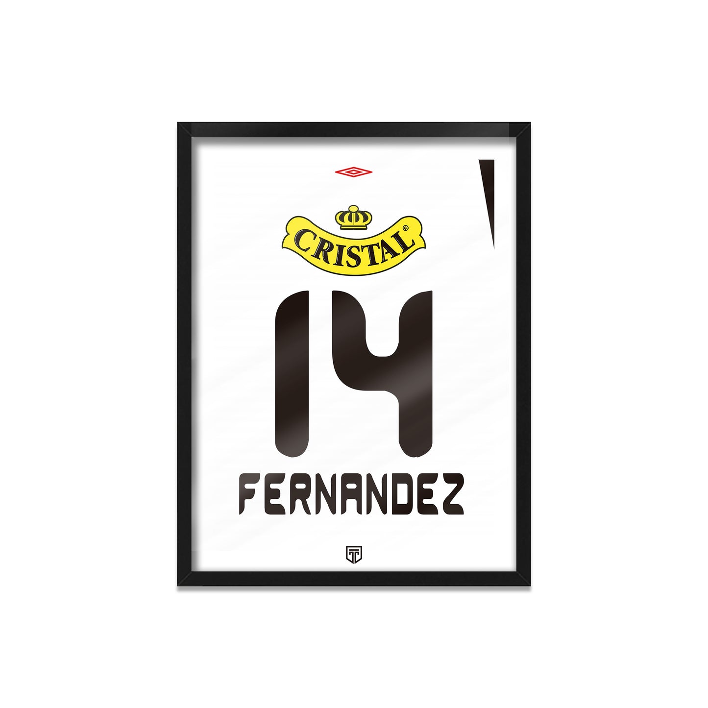 CUADRO MATIAS FERNÁNDEZ COLO COLO 2006 (CC)