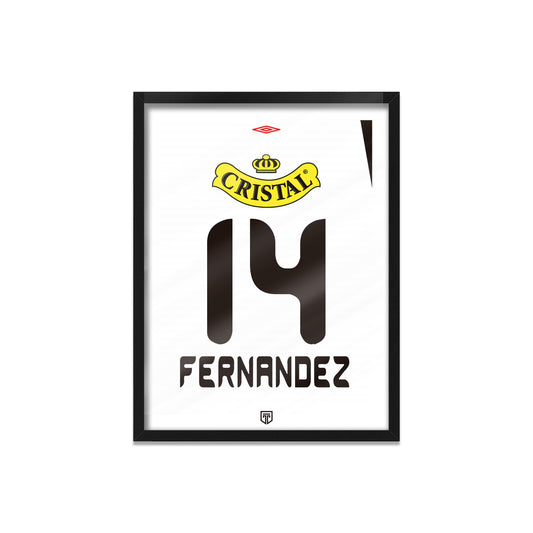 CUADRO MATIAS FERNÁNDEZ COLO COLO 2006 (CC)