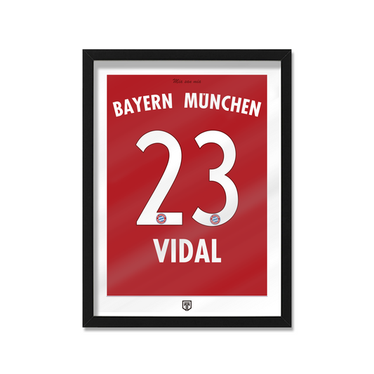 CUADRO ARTURO VIDAL BAYERN 2015