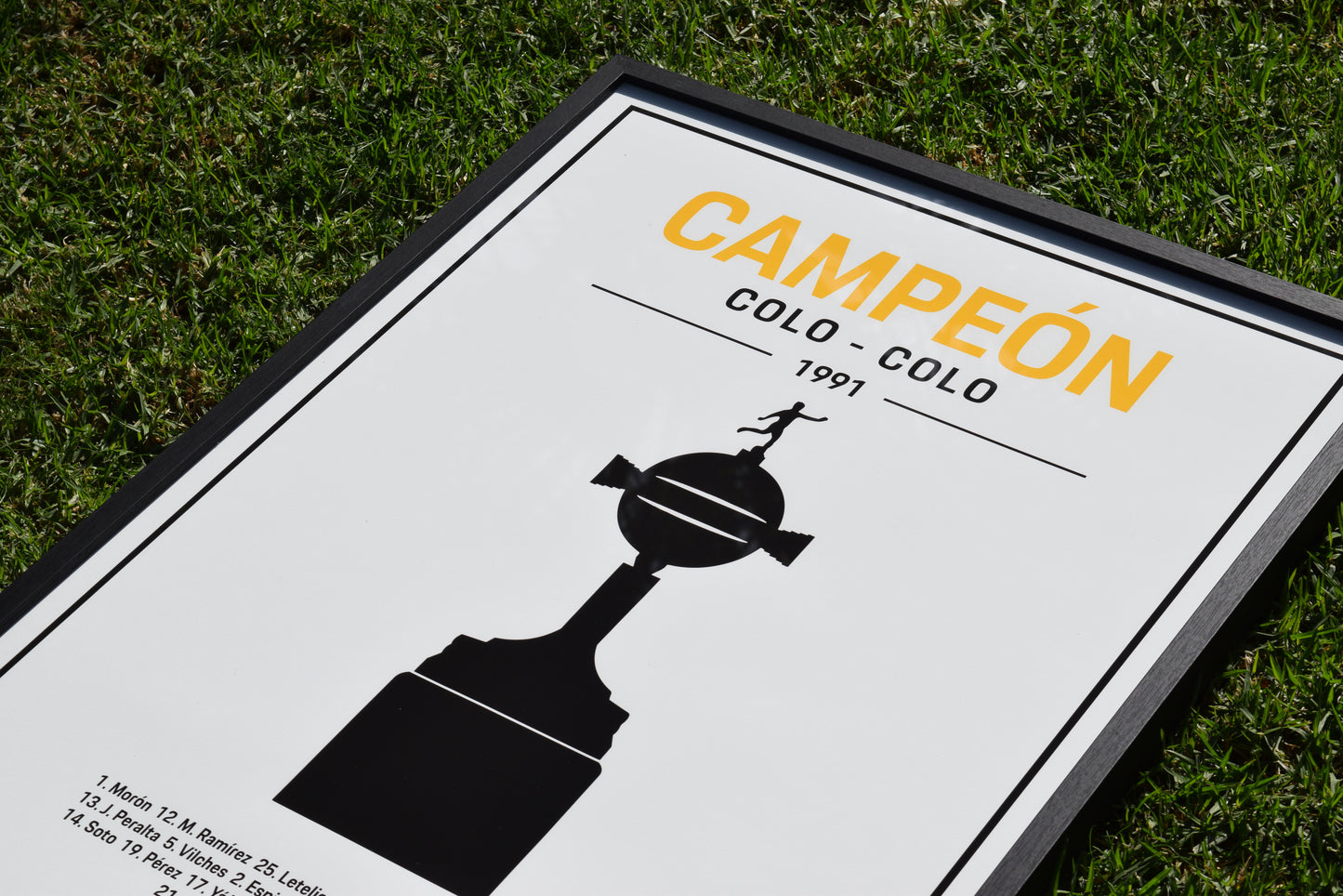 Poster Colo Colo Copa Libertadores 1991 | Cuadro Enmarcado de Colección Campeón América