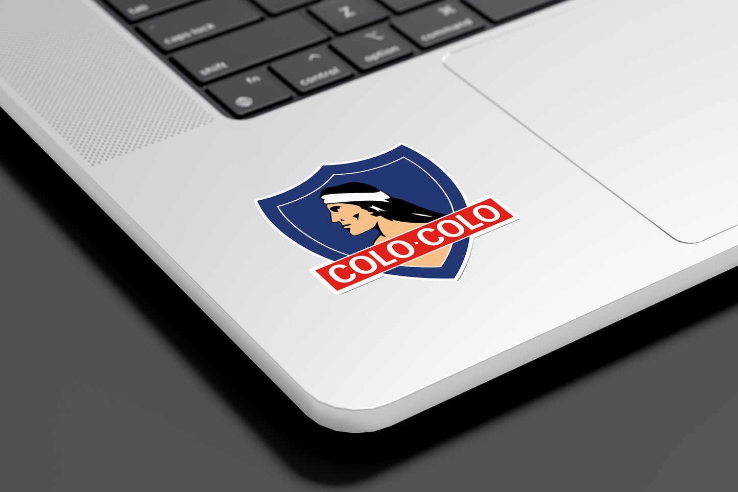 STICKER / LOGO COLO COLO