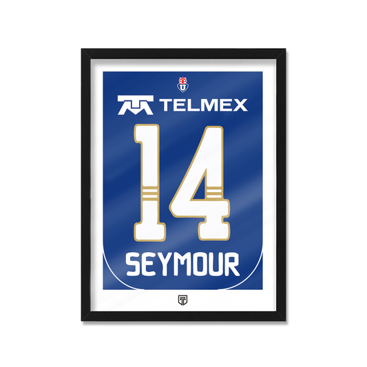 UNIVERSIDAD DE CHILE 2010 SEYMOUR