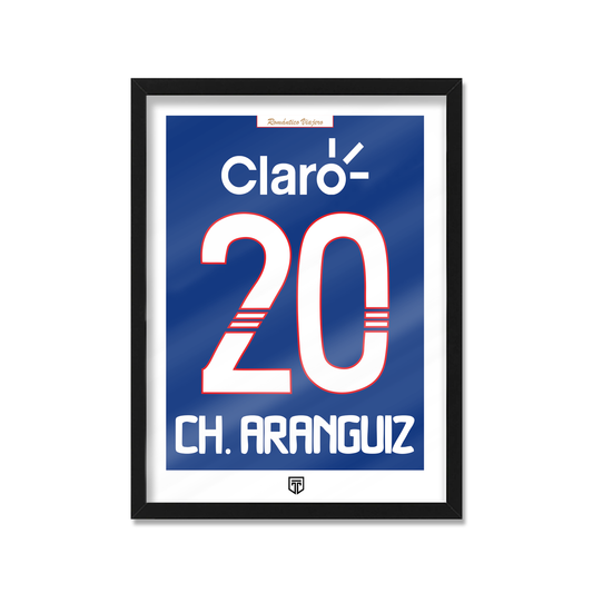 UNIVERSIDAD DE CHILE 2011 ARANGUIZ