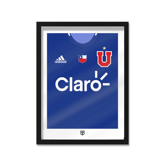 CUADRO UNIVERSIDAD DE CHILE 2012