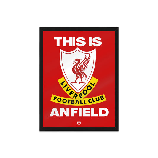 LIVERPOOL FC THIS IS ANFIELD