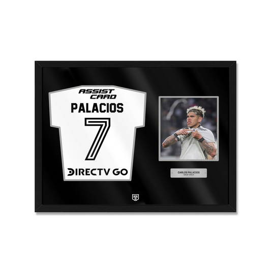 CUADRO MEMORABILIA CARLOS PALACIOS COLO COLO