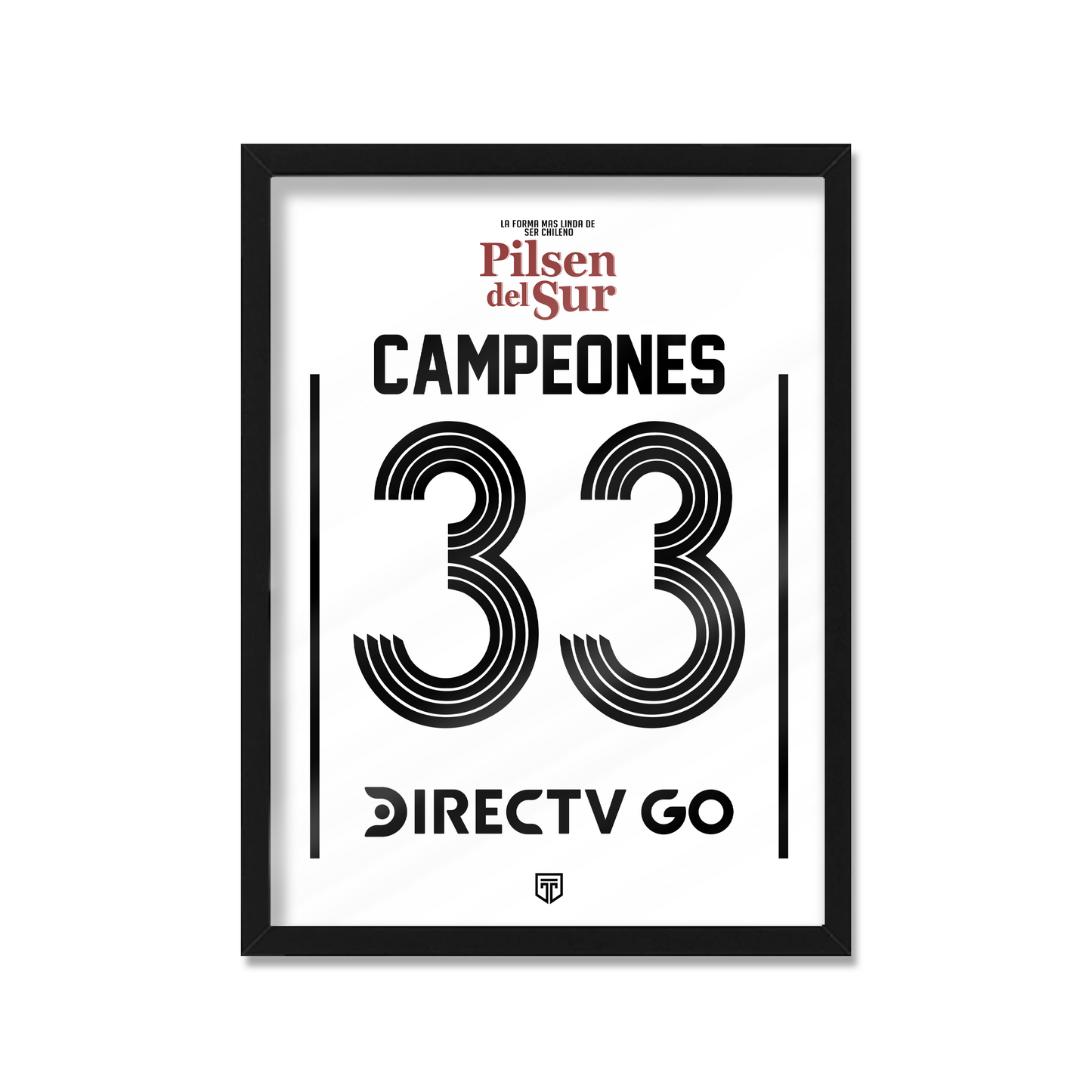 COLO COLO CAMPEONES 33