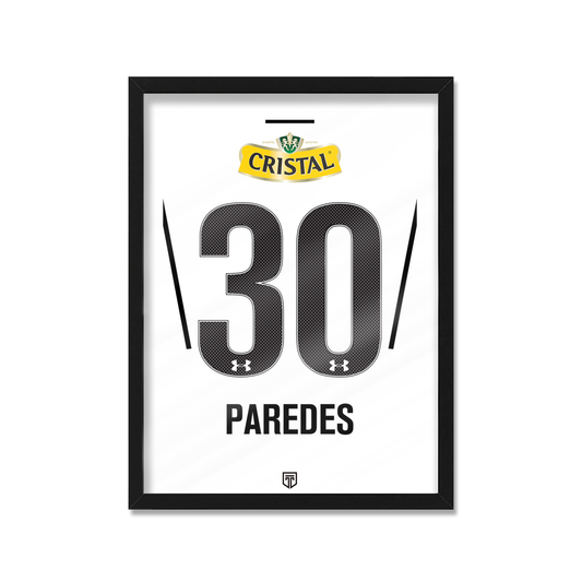 COLO COLO 2014 PAREDES