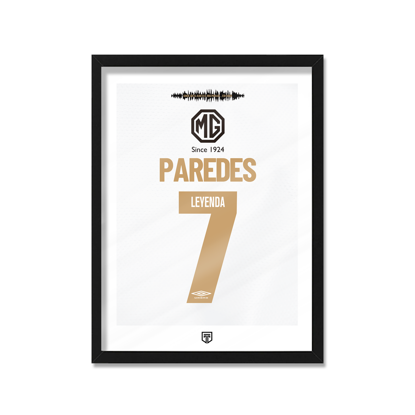 Cuadro Paredes Leyenda Colo Colo 2020 | Poster