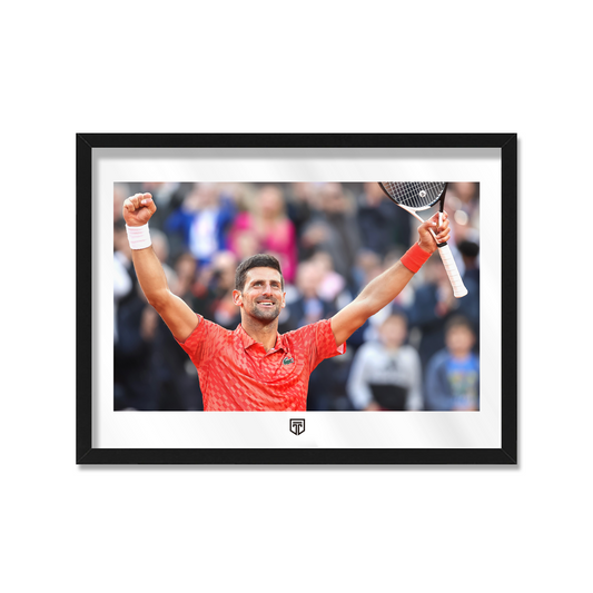CUADRO DJOKOVIC FOTO