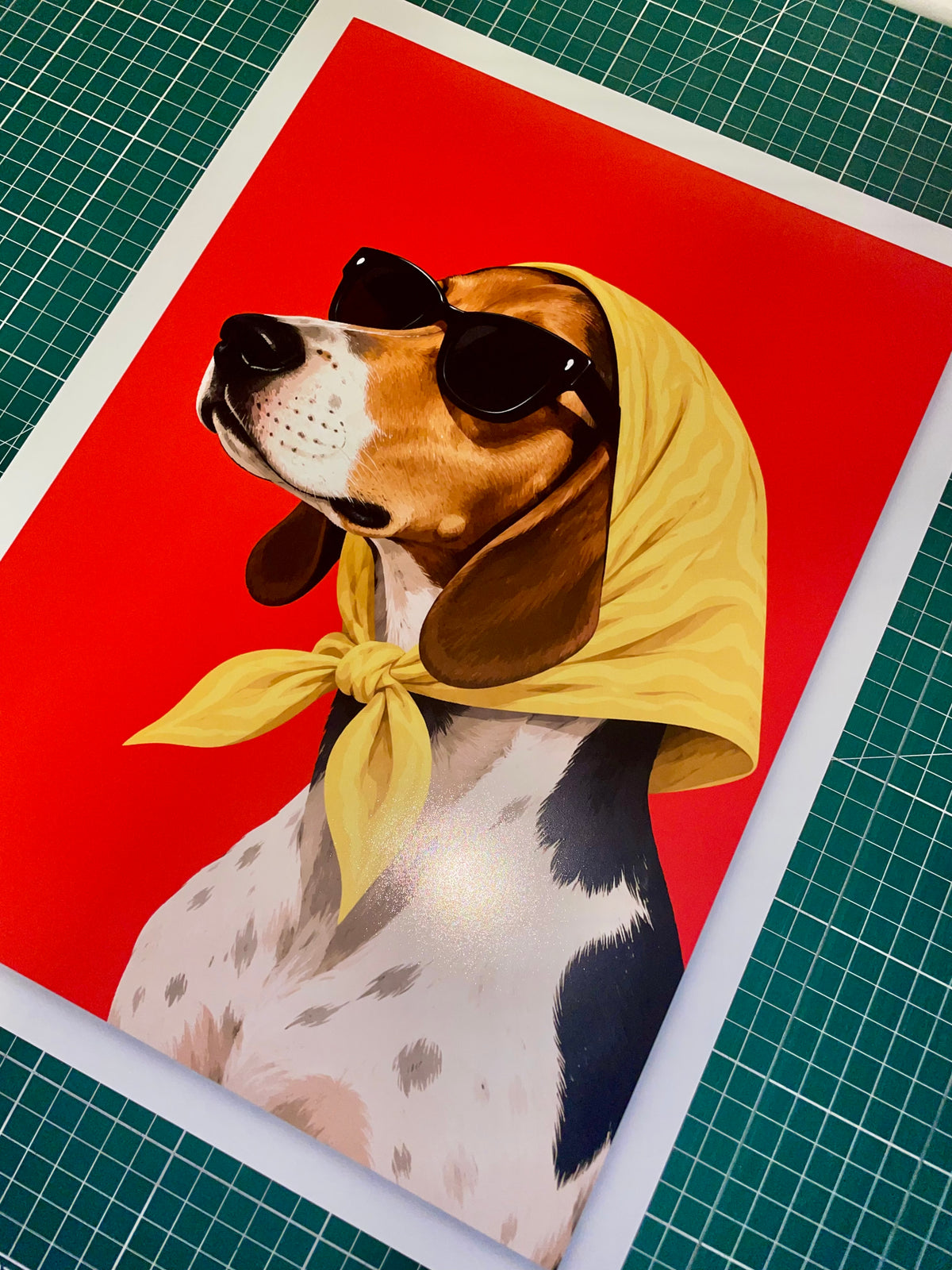 cuadro con foto de perro enmarcado