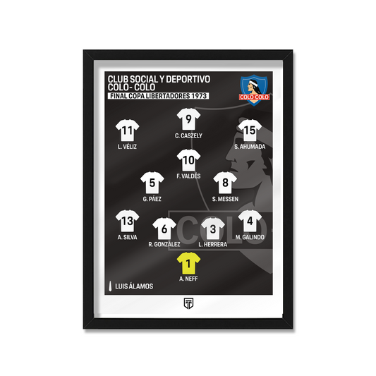 CUADRO SQUAD COLO COLO 1973