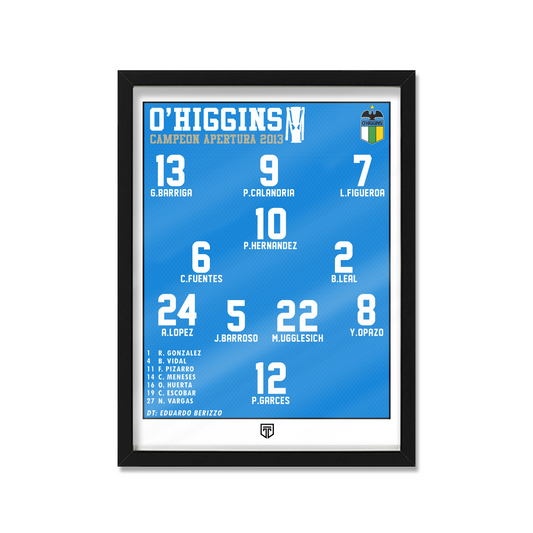 Squad Ohiggins 2013 Formación