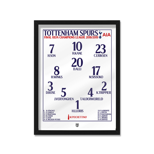 CUADRO SQUAD TOTTENHAM 2019