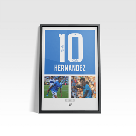 CUADRO MEMORABILIA TUCU HERNANDEZ OHIGGINS