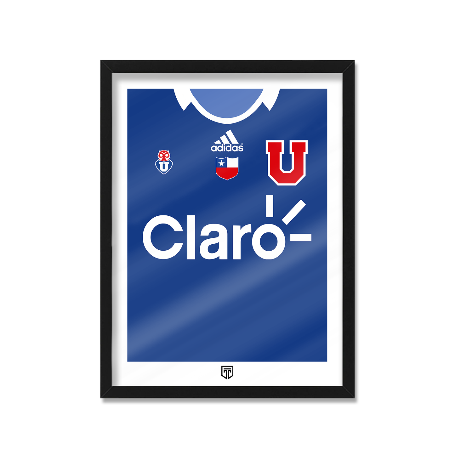 UNIVERSIDAD DE CHILE 2011 FRONTAL