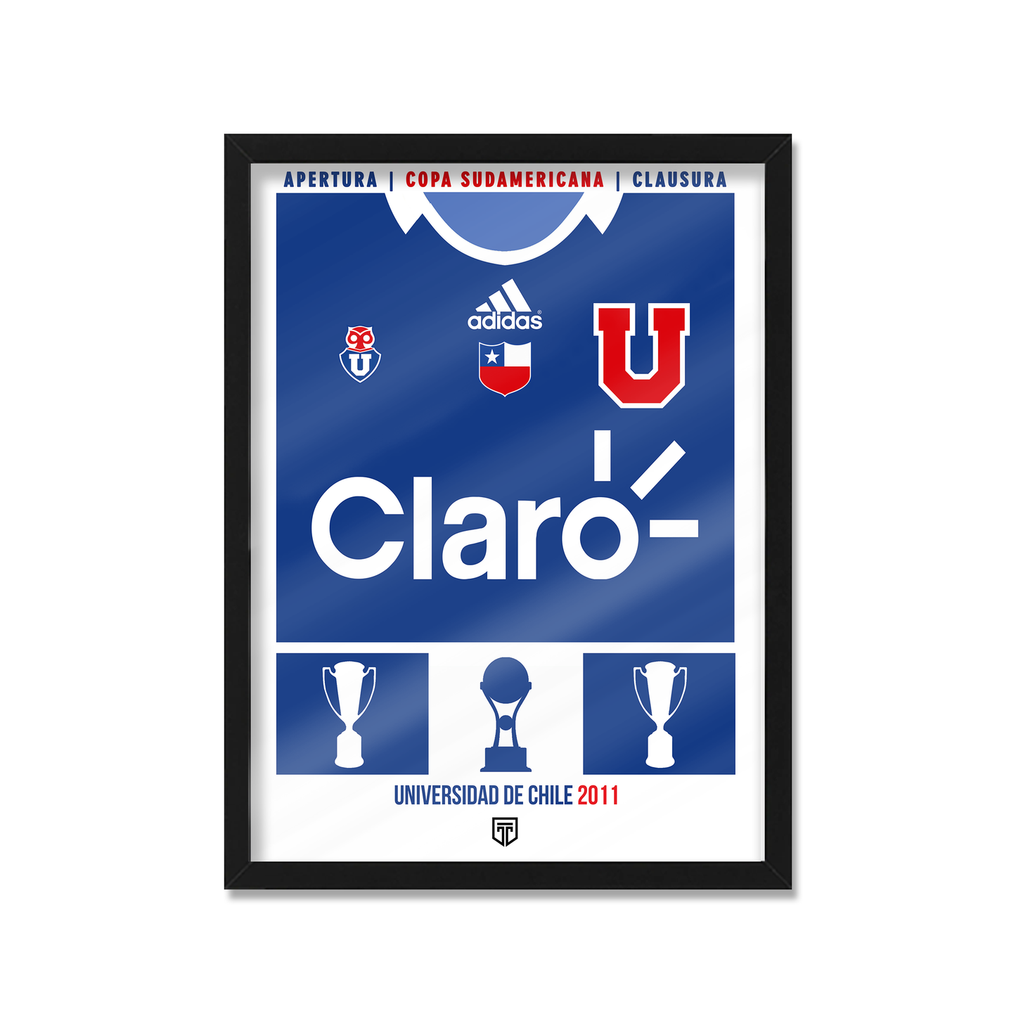 UNIVERSIDAD DE CHILE 2011 POSTER